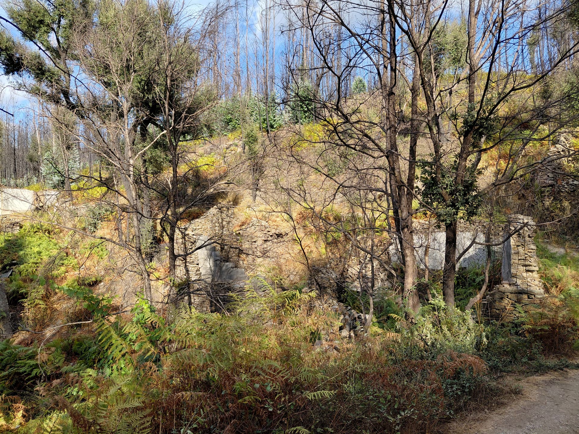 Casa5 - 20250828_174838