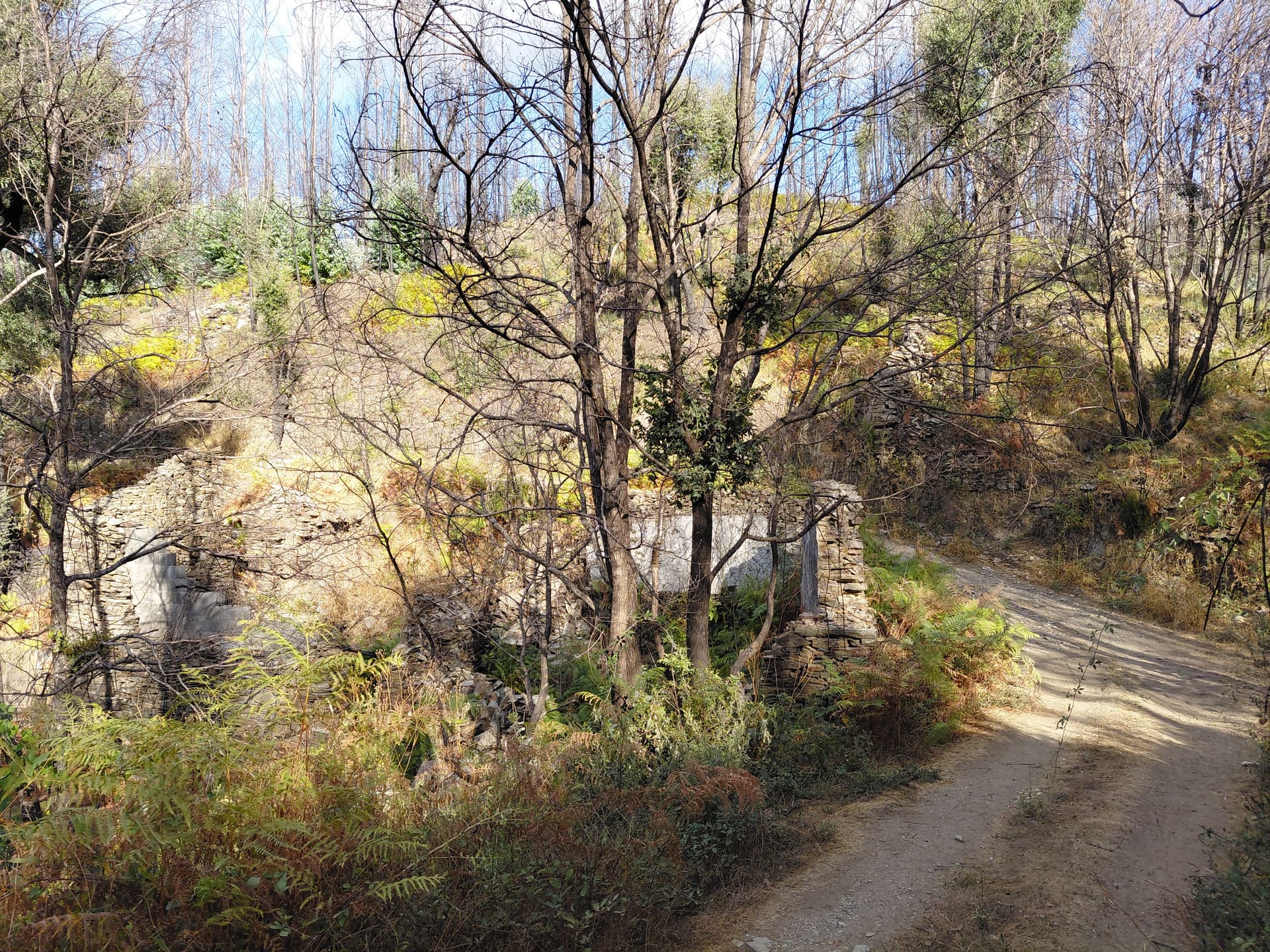 Casa5 - 20250828_174839