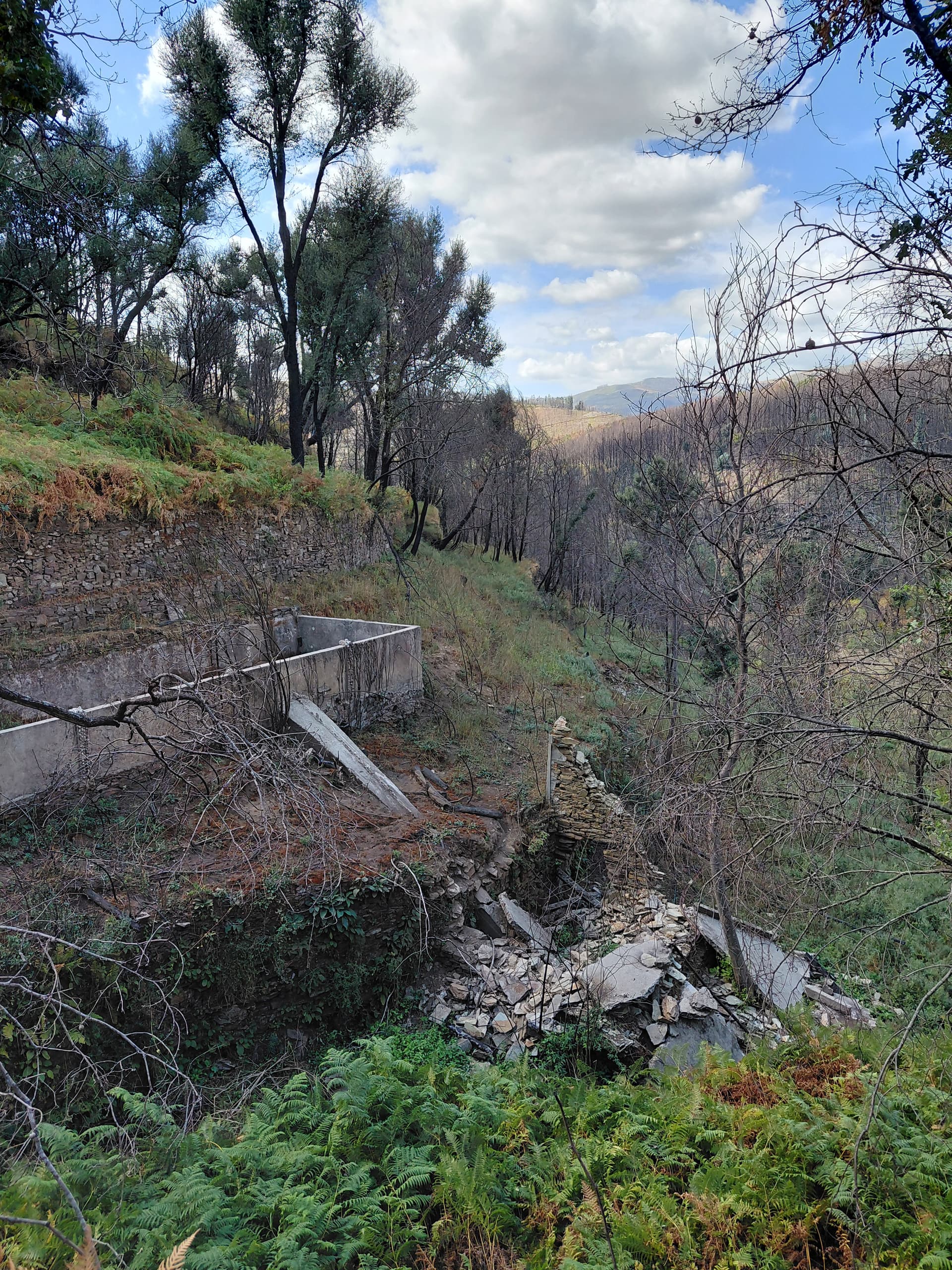 Casa6 - 20250828_153530