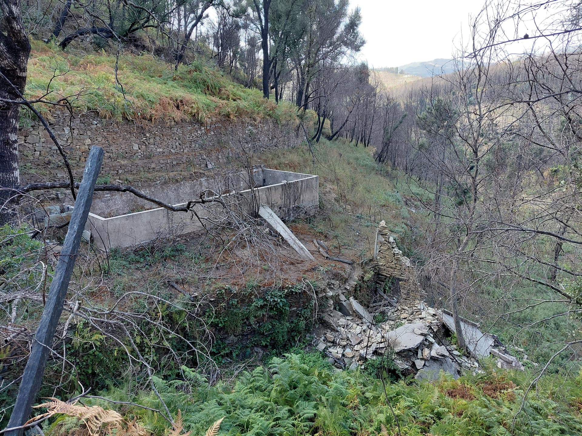 Casa6 - 20250828_153534