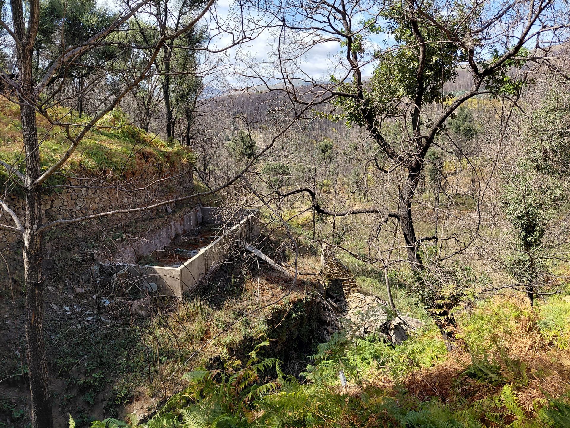 Casa6 - 20250828_153653