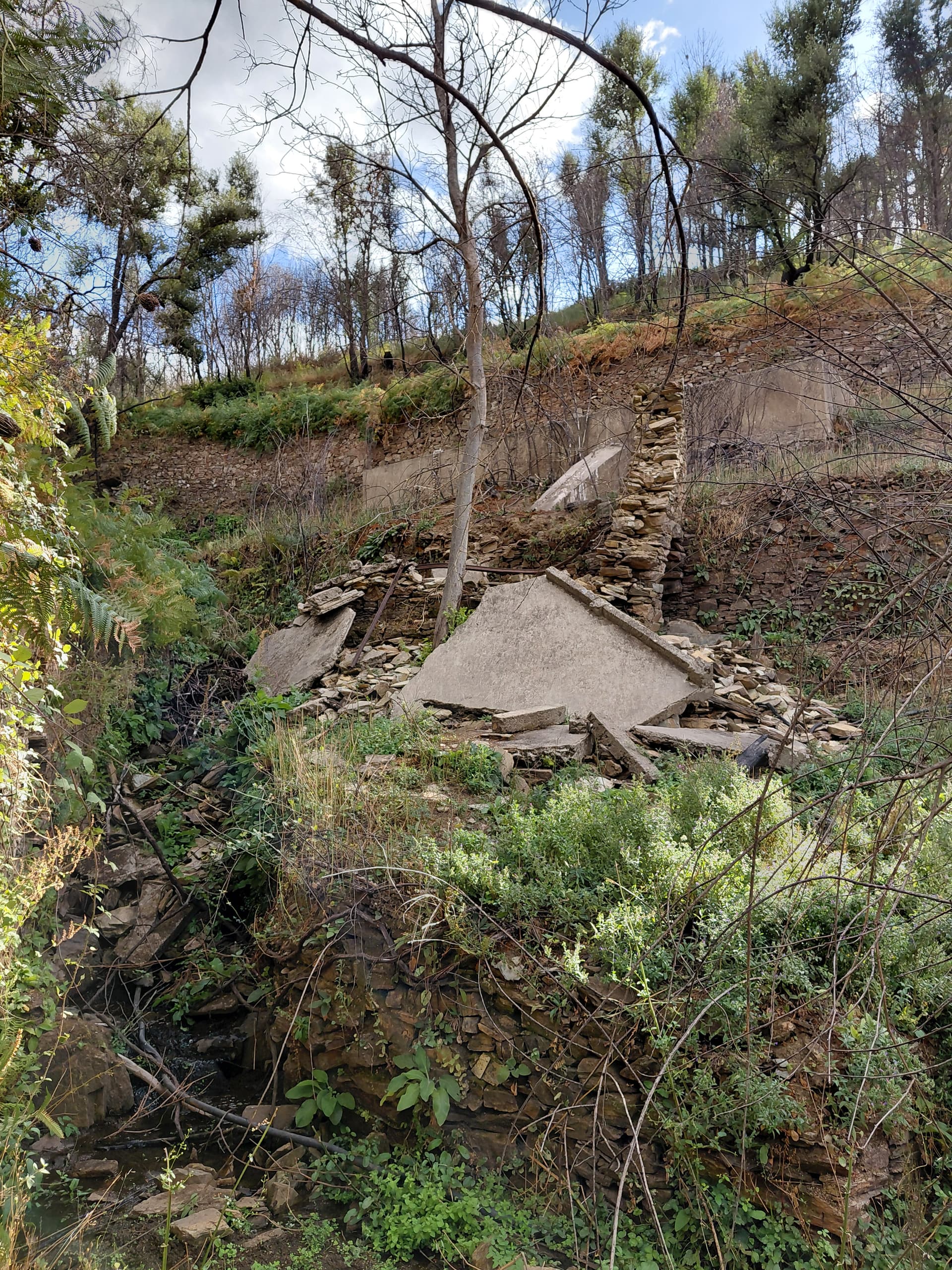 Casa6 - 20250828_171600