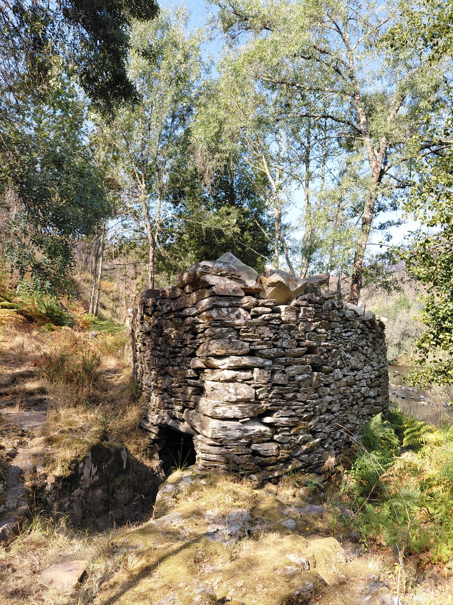 Casa7 - 20250823_104550