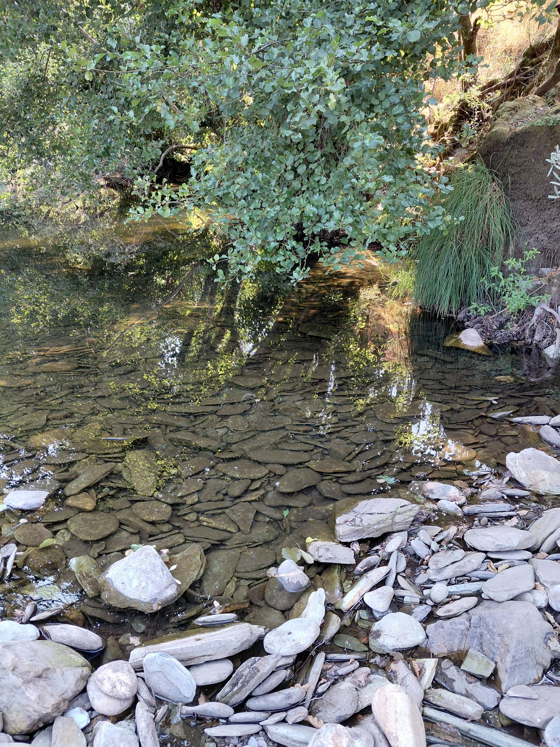 Casa7 - 20250823_104728