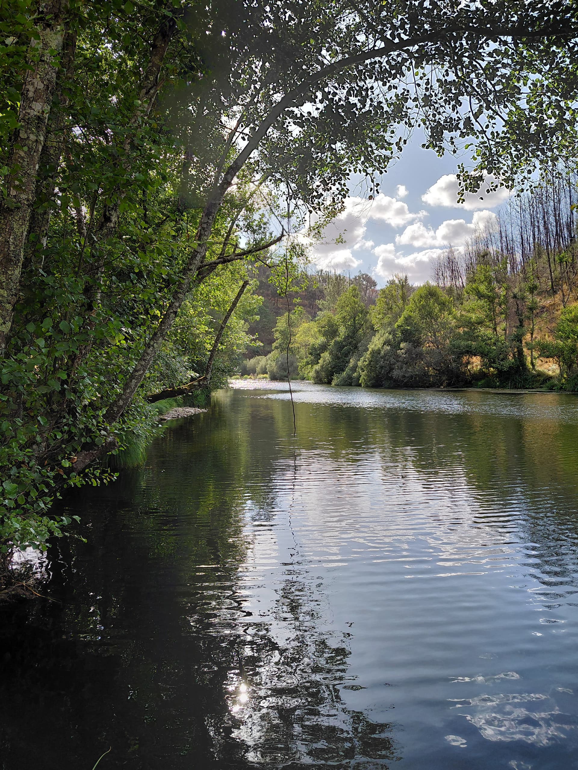 Casa7 - 20250828_172555