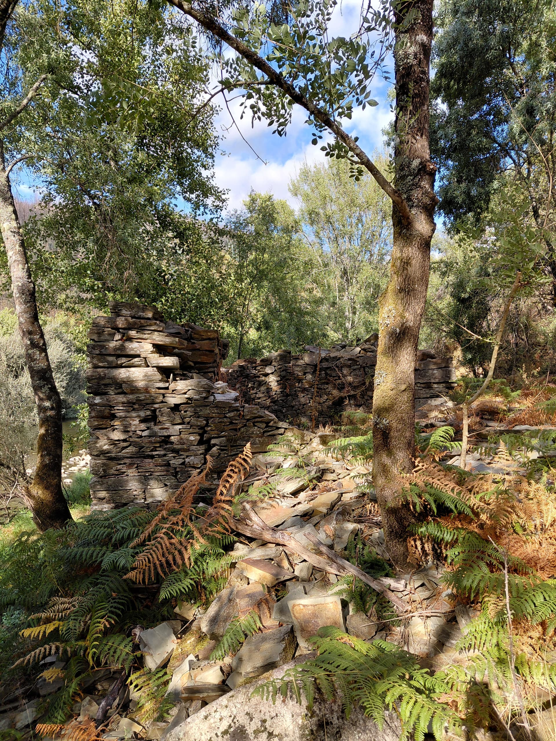 Casa7 - 20250828_173010