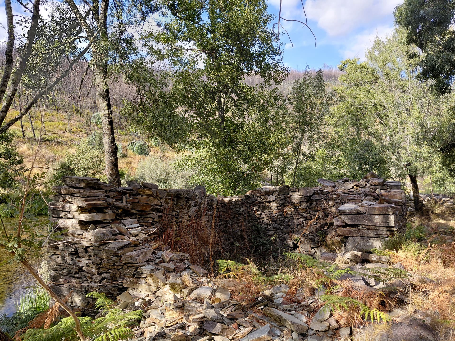 Casa7 - 20250828_173021