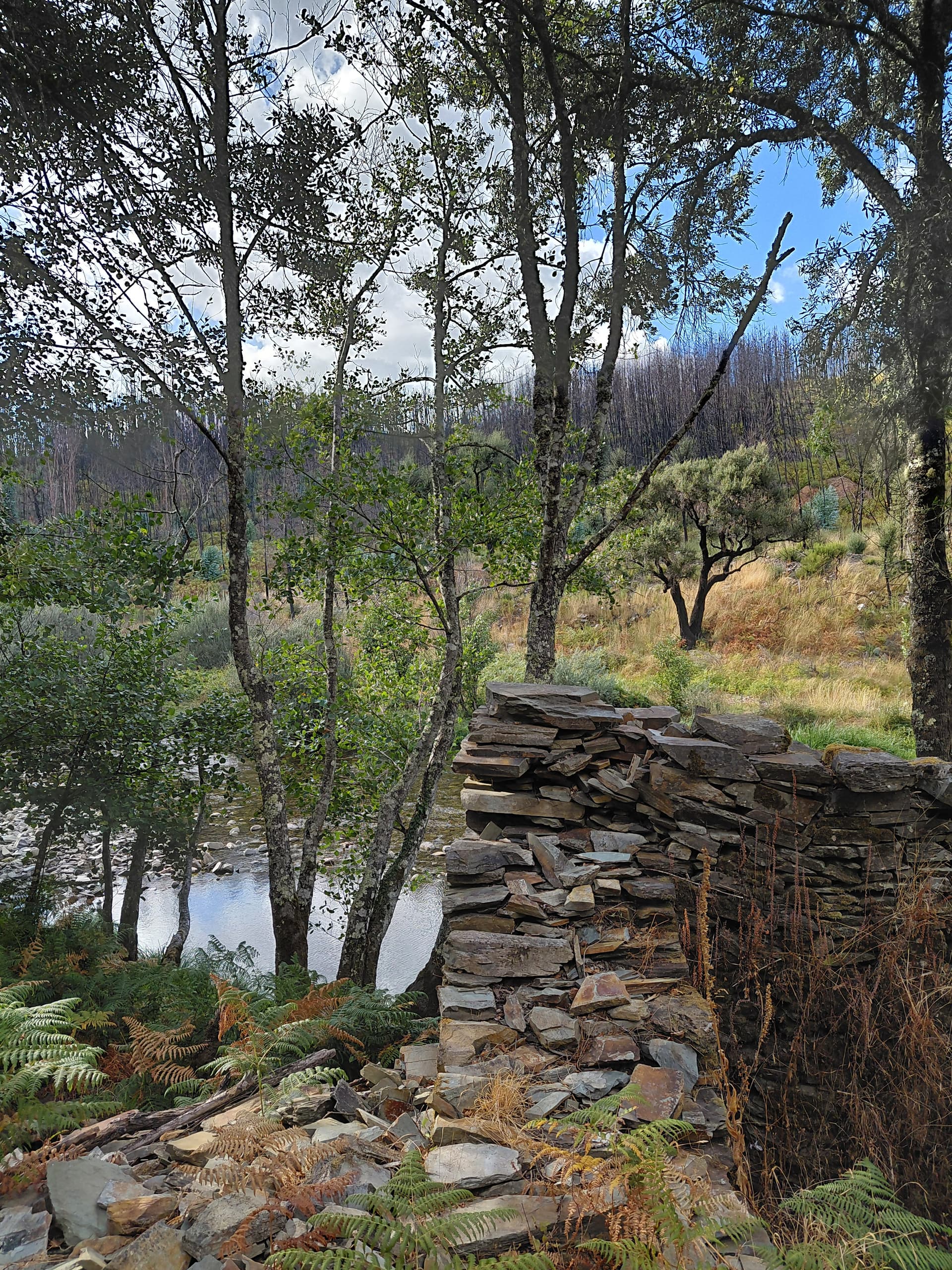 Casa7 - 20250828_173034