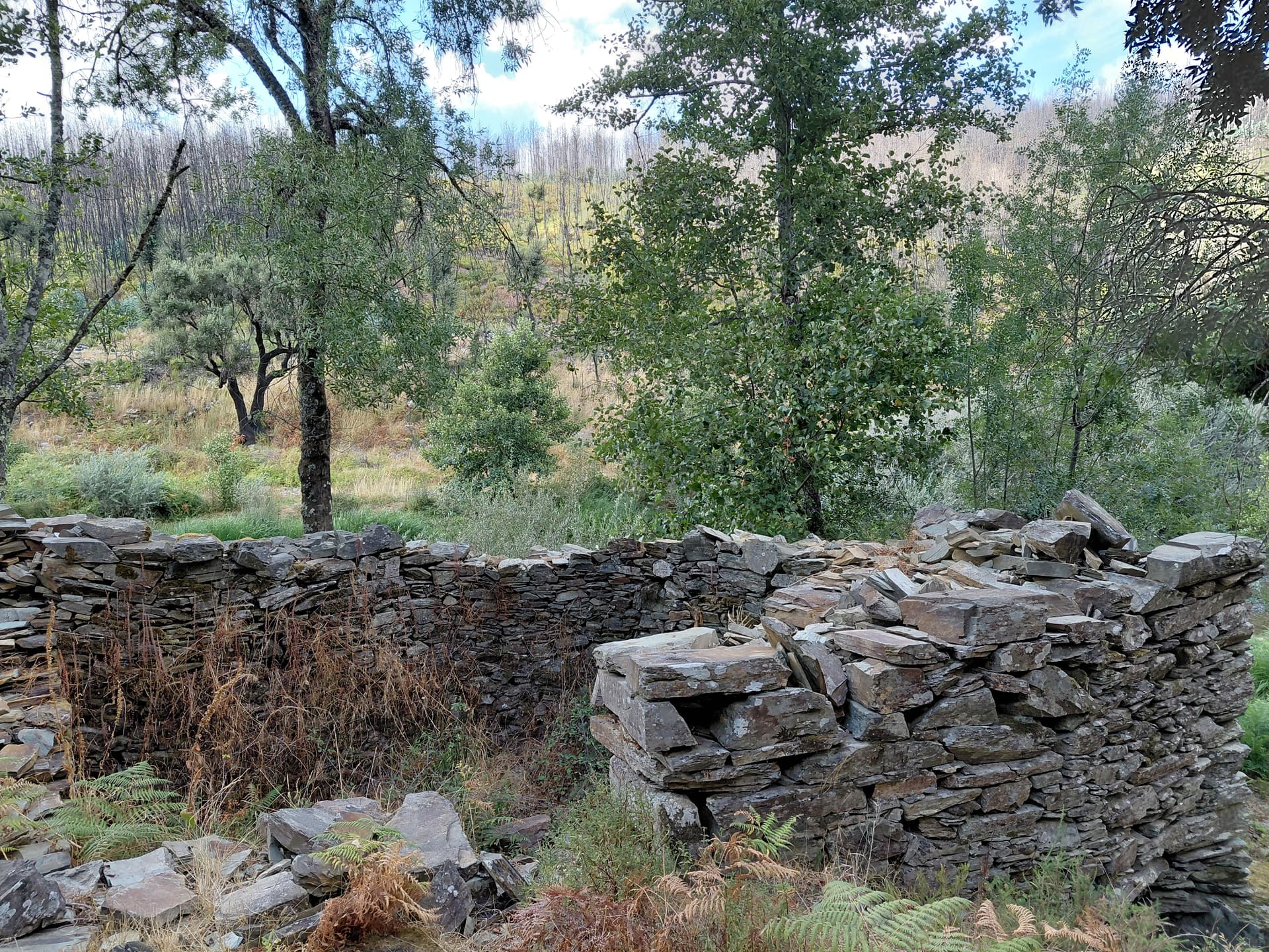 Casa7 - 20250828_173102