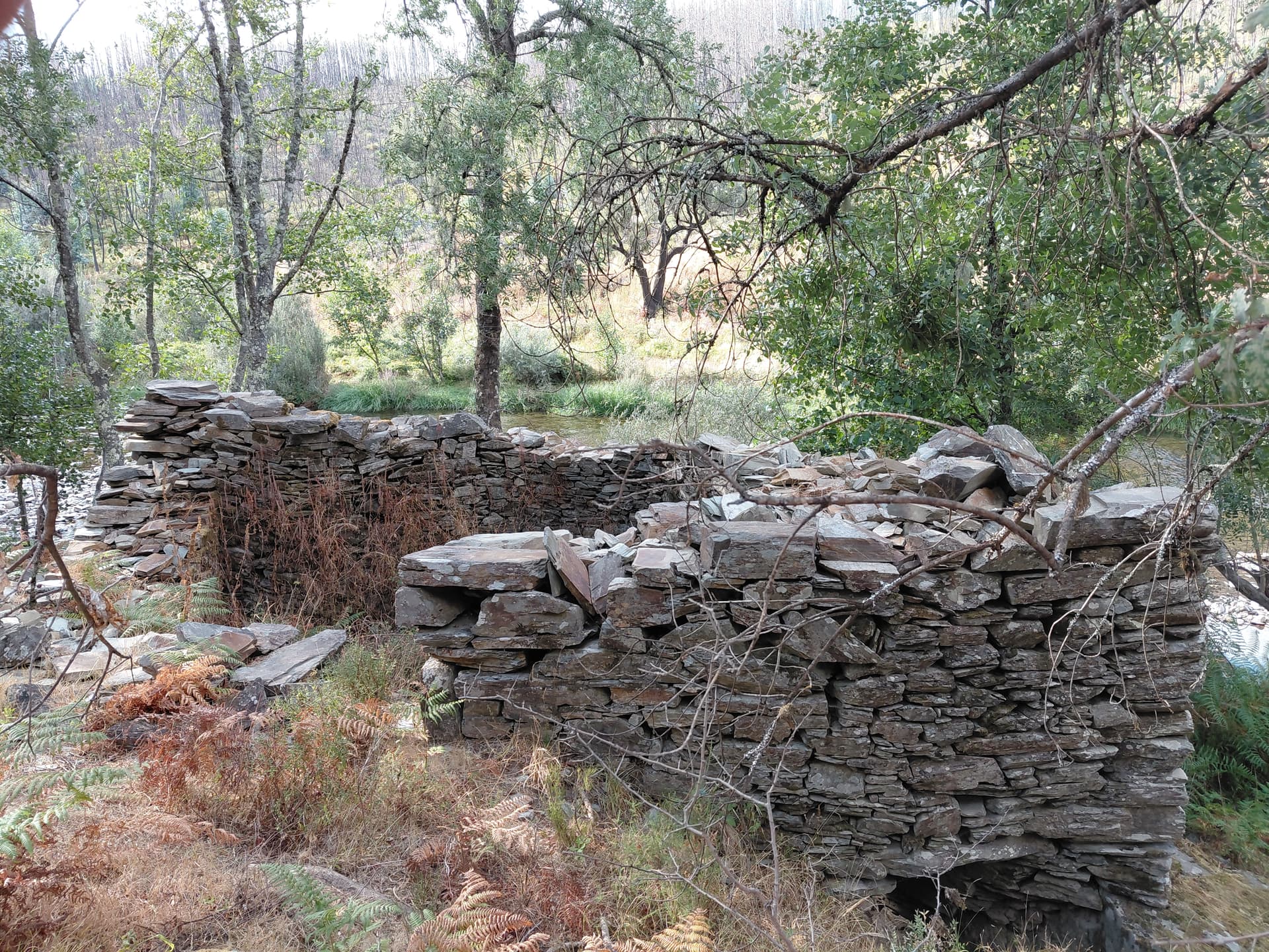 Casa7 - 20250828_173113