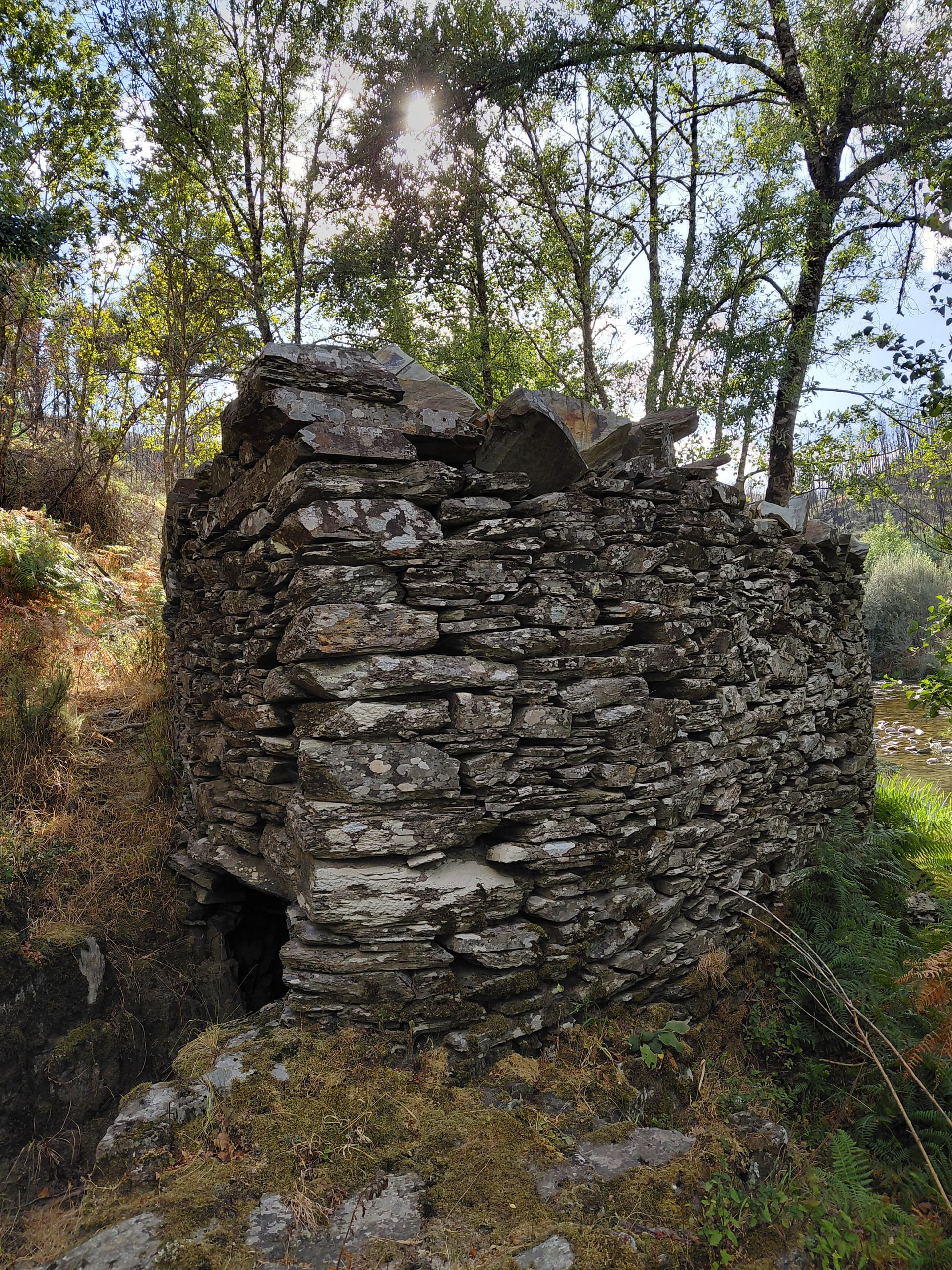 Casa7 - 20250828_173141