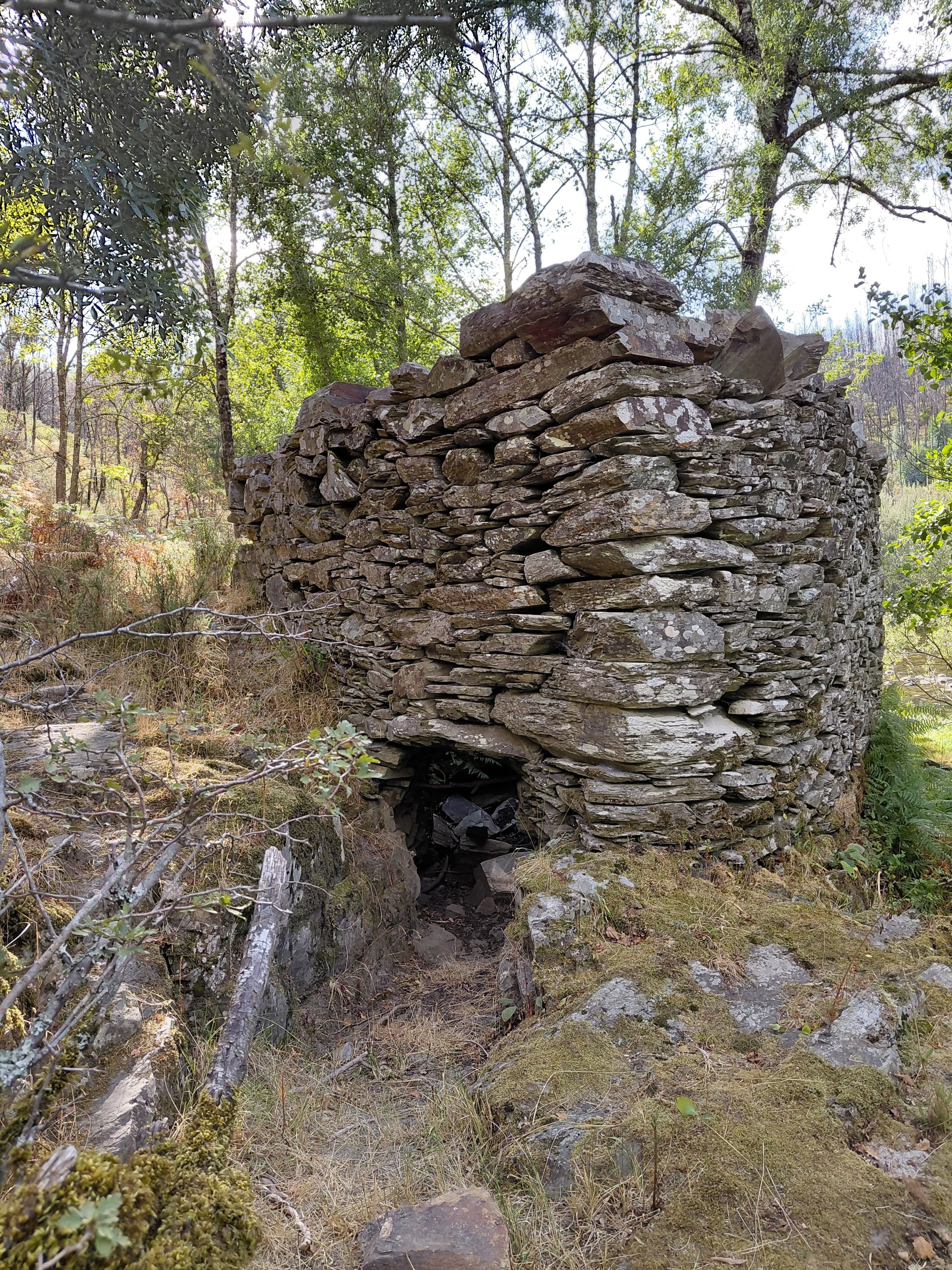 Casa7 - 20250828_173158