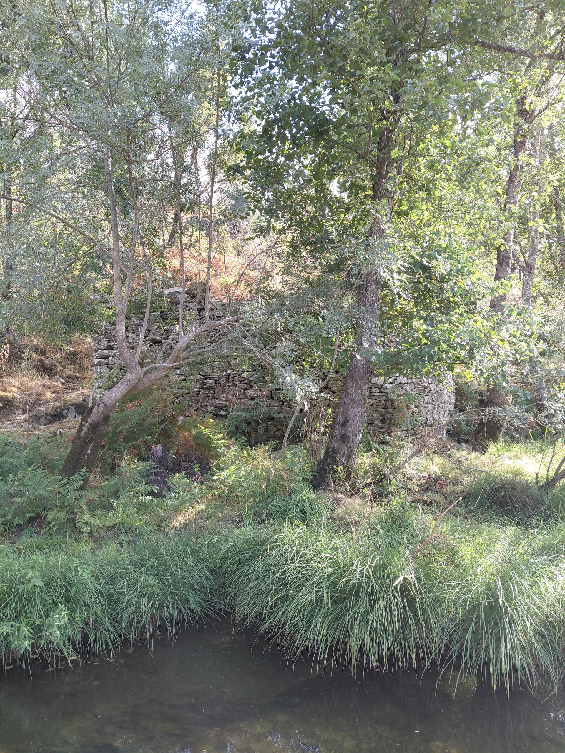 Casa7 - 20250828_173230