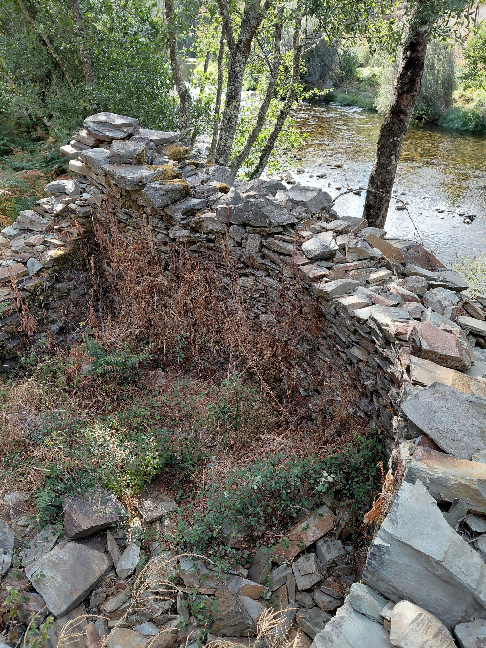 Casa7 - 20250828_173809