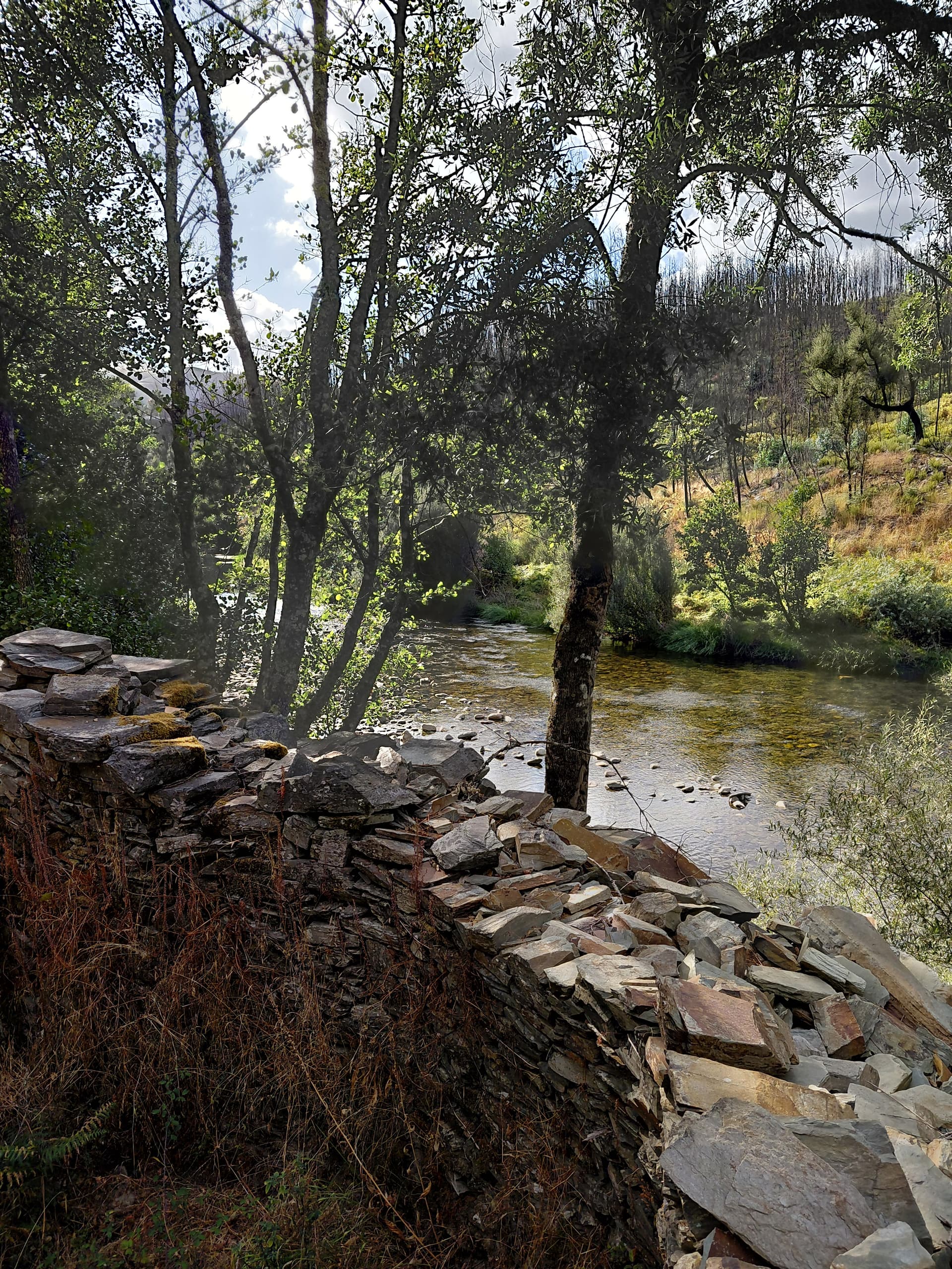 Casa7 - 20250828_173813