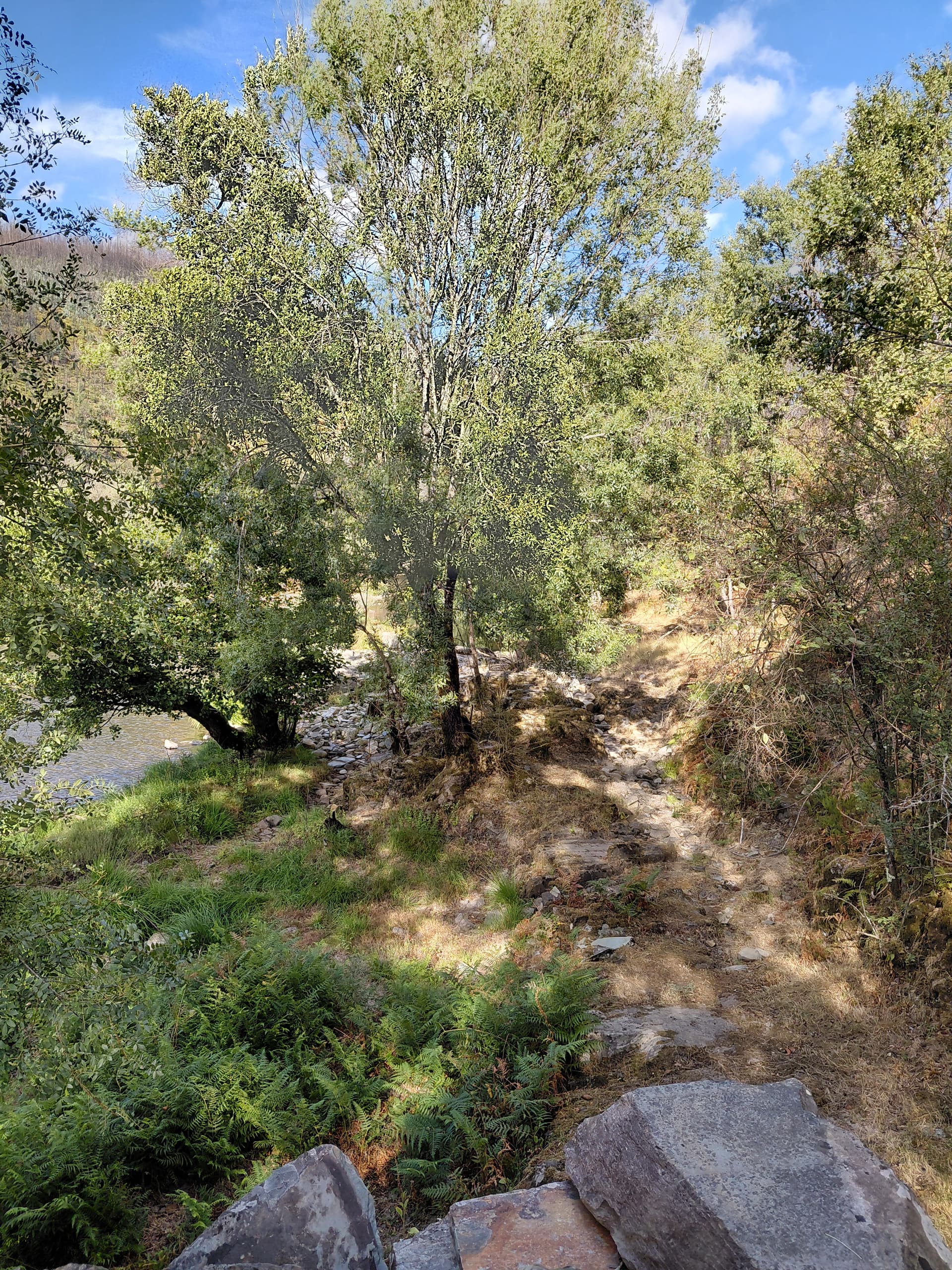 Casa7 - 20250828_173816